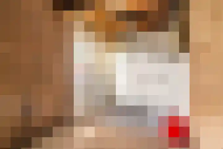 Blomfinne 2 Oudega thumbnail 13