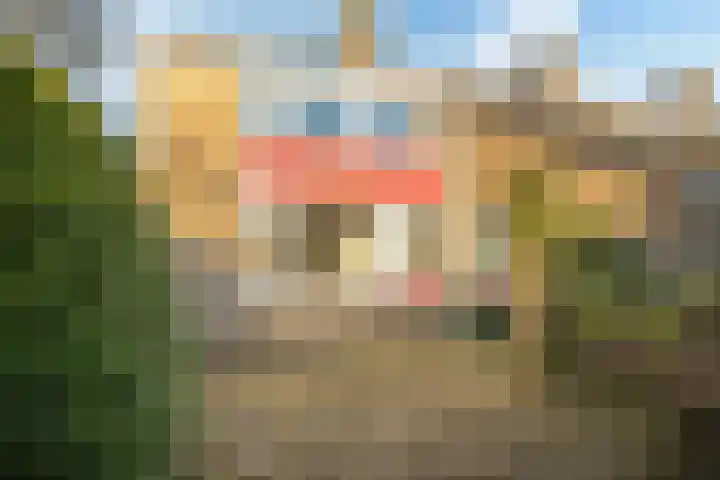 Blomfinne 2 Oudega thumbnail 14