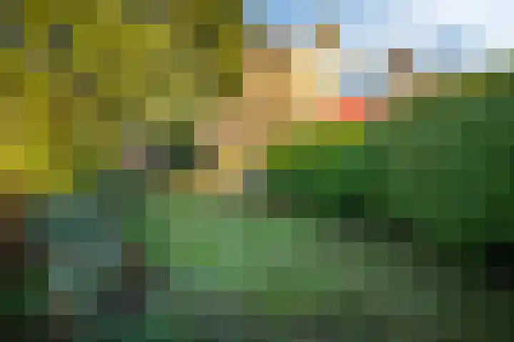 Blomfinne 2 Oudega thumbnail 15