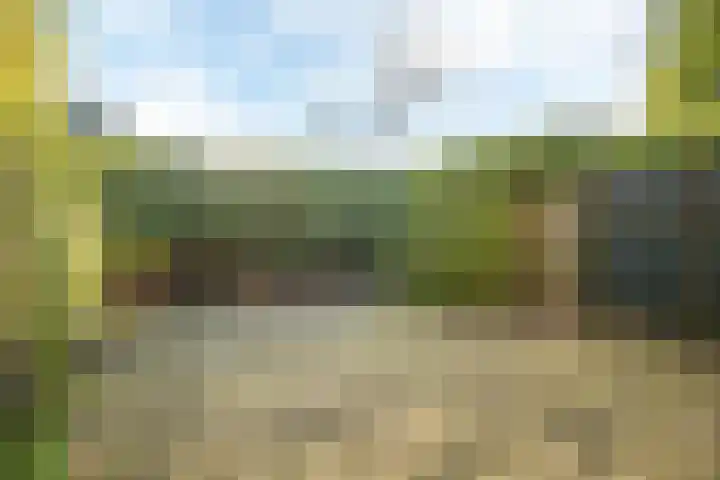 Blomfinne 2 Oudega thumbnail 16