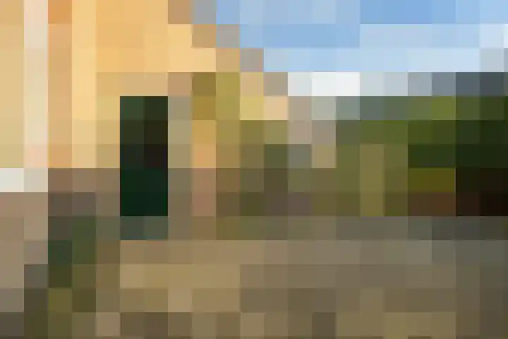 Blomfinne 2 Oudega thumbnail 17