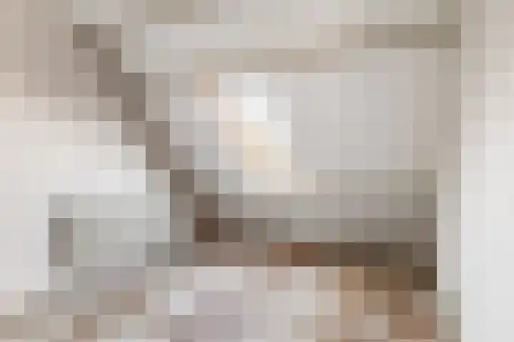 Blomfinne 2 Oudega thumbnail 20