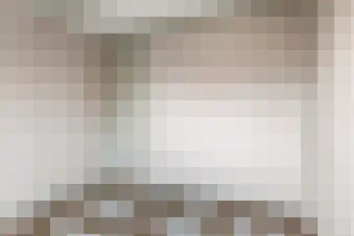 Blomfinne 2 Oudega thumbnail 21