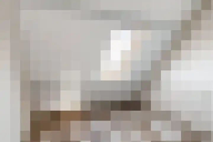 Blomfinne 2 Oudega thumbnail 22