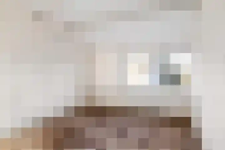 Blomfinne 2 Oudega thumbnail 24