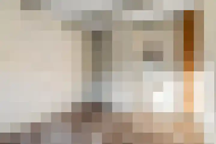 Blomfinne 2 Oudega thumbnail 25