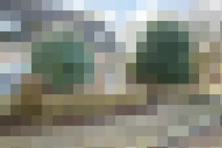 Blomfinne 2 Oudega thumbnail 28