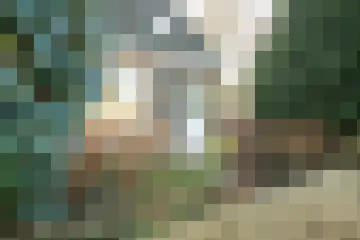Blomfinne 2 Oudega thumbnail 4