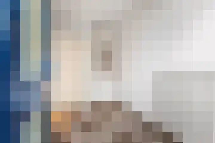Blomfinne 2 Oudega thumbnail 5