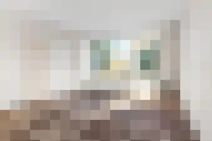 Blomfinne 2 Oudega thumbnail 8