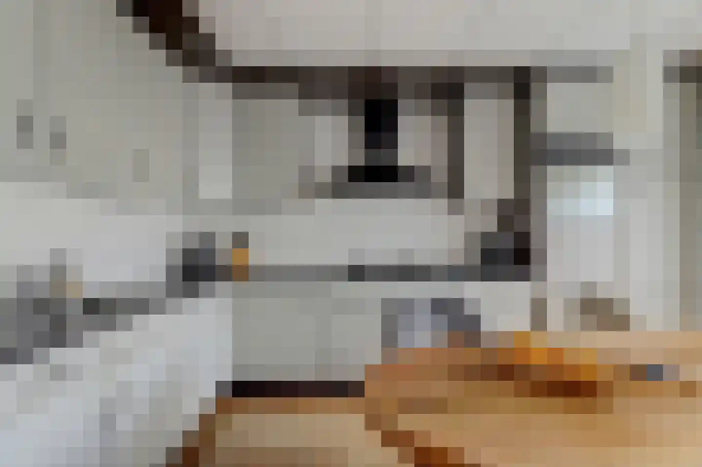 Blomikkers 14 Workum thumbnail 10