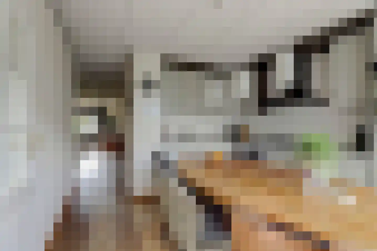 Blomikkers 14 Workum thumbnail 11