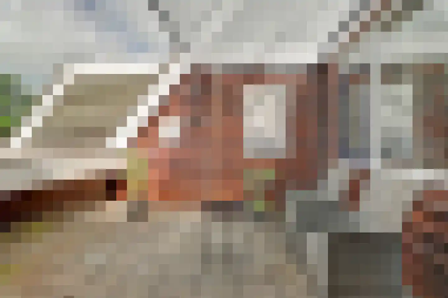 Blomikkers 14 Workum thumbnail 20