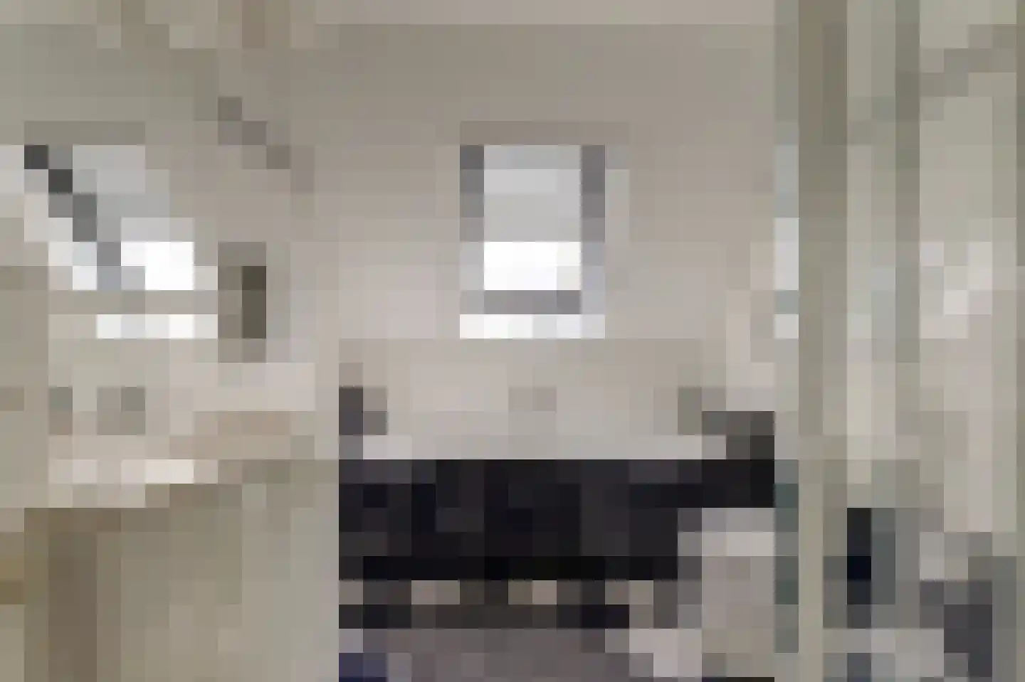Blomikkers 14 Workum thumbnail 22