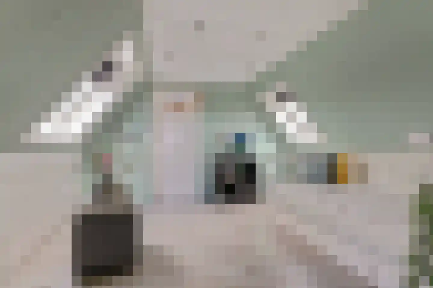 Blomikkers 14 Workum thumbnail 24
