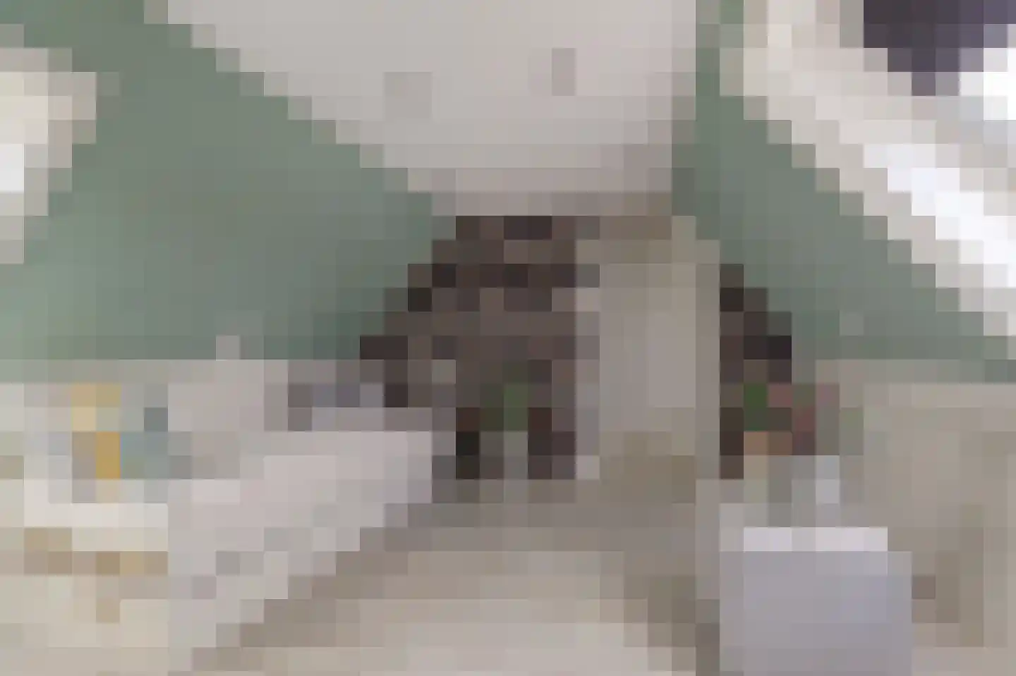 Blomikkers 14 Workum thumbnail 25