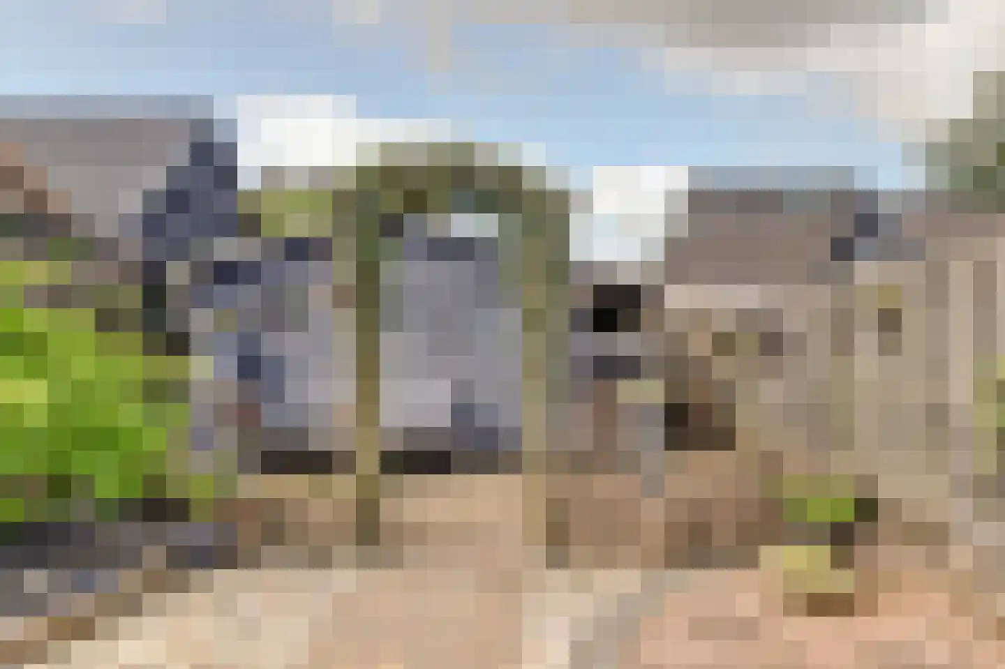 Blomikkers 14 Workum thumbnail 27