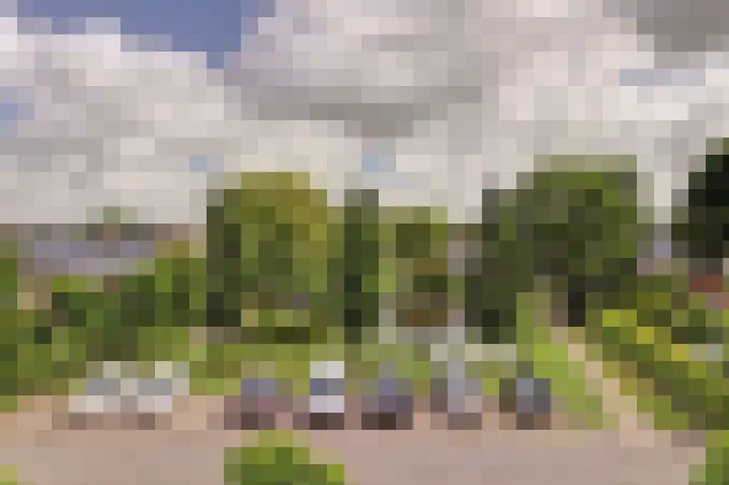 Blomikkers 14 Workum thumbnail 30
