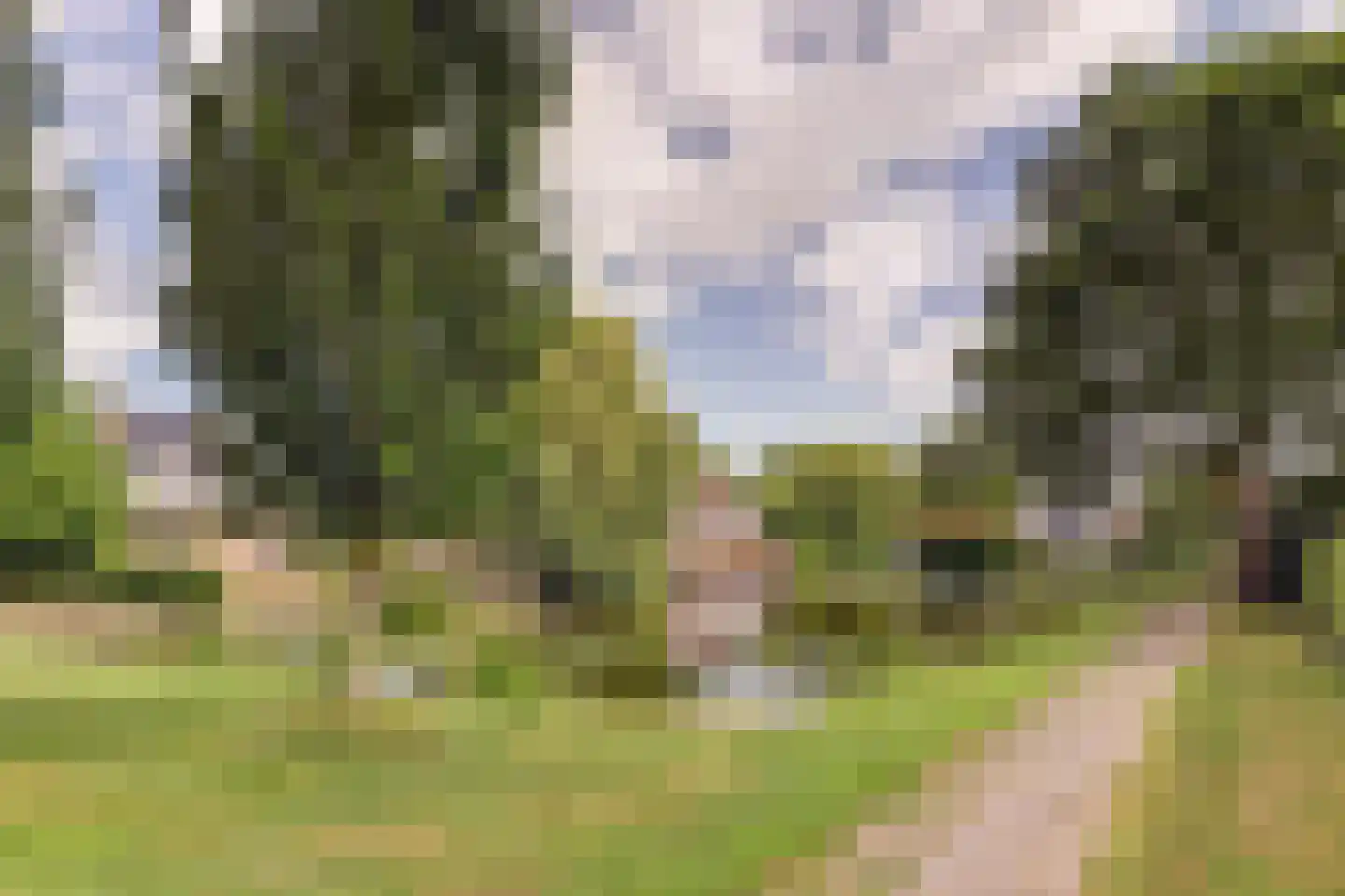 Blomikkers 14 Workum thumbnail 33