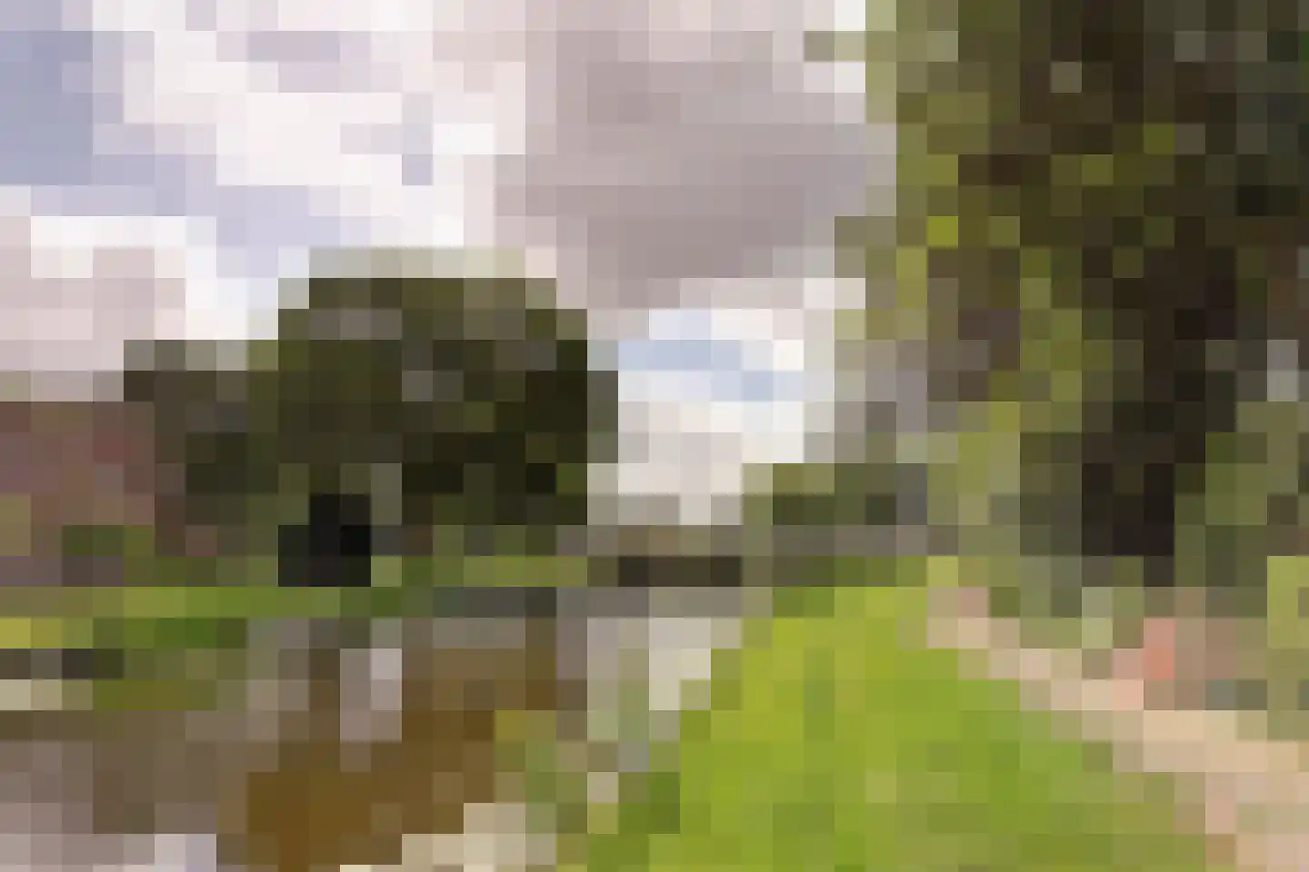 Blomikkers 14 Workum thumbnail 34