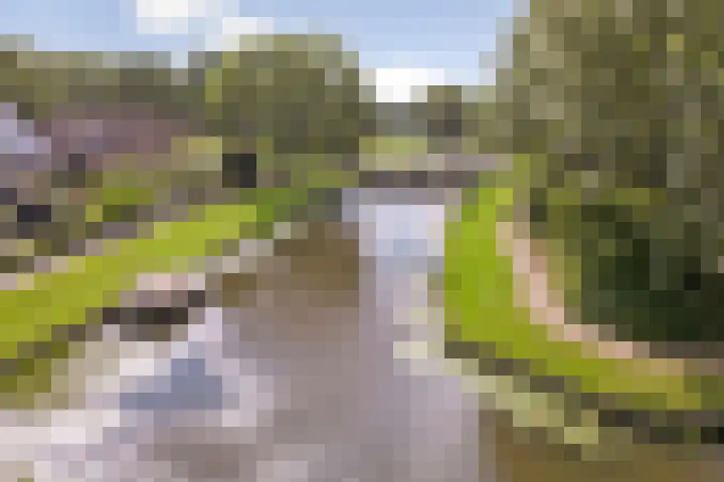 Blomikkers 14 Workum thumbnail 36