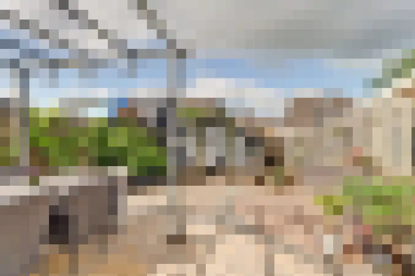 Blomikkers 14 Workum thumbnail 4