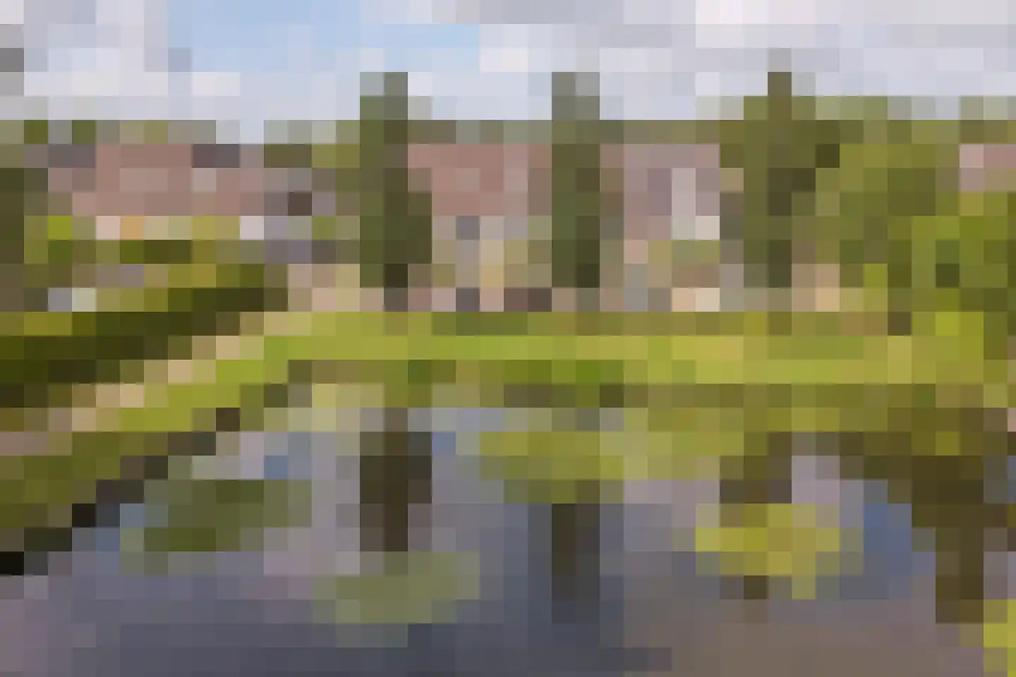 Blomikkers 14 Workum thumbnail 5
