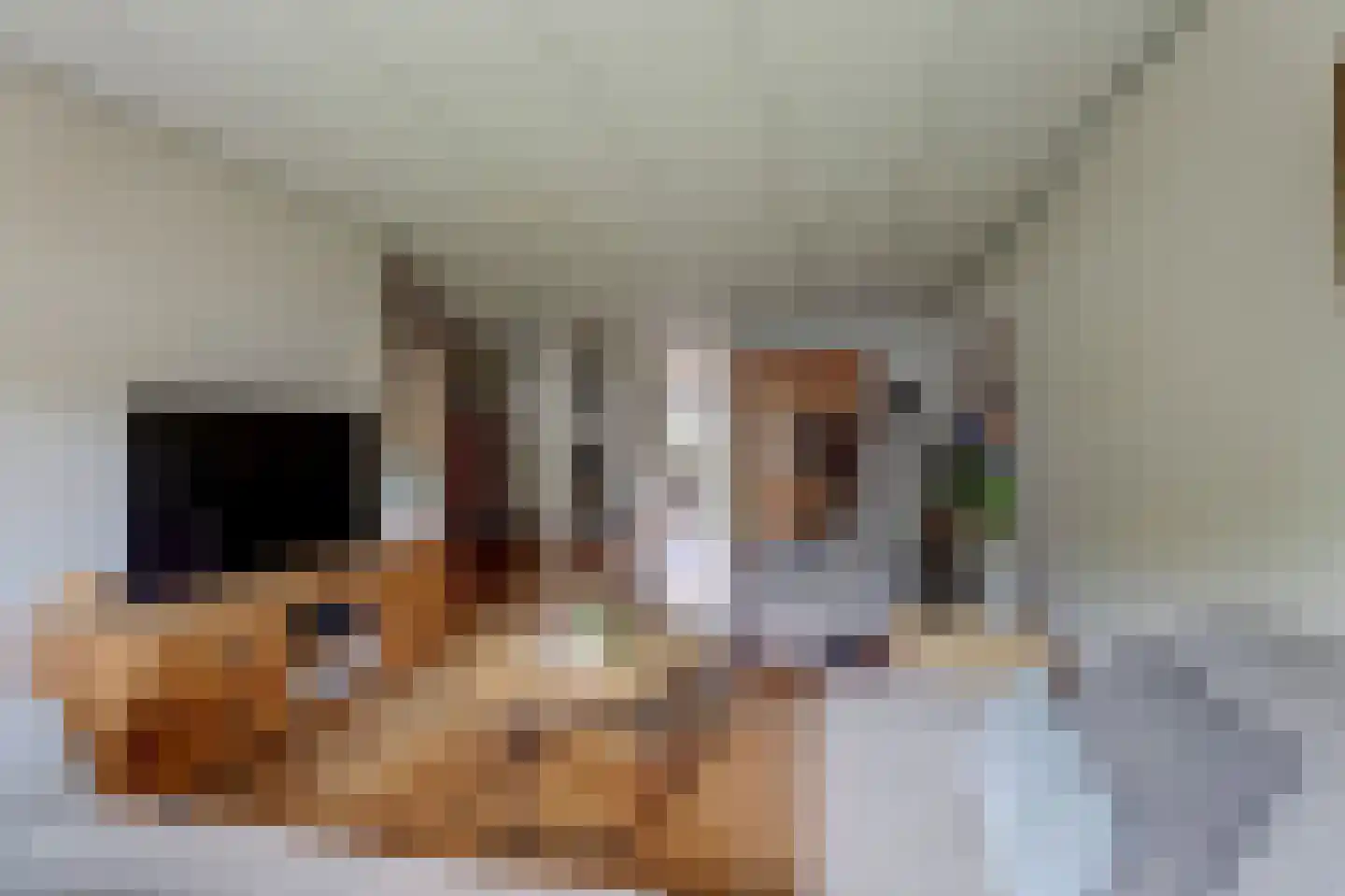 Blomikkers 14 Workum thumbnail 9
