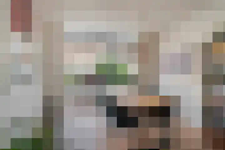 Blommersdijkselaan 13 B Rotterdam thumbnail 11
