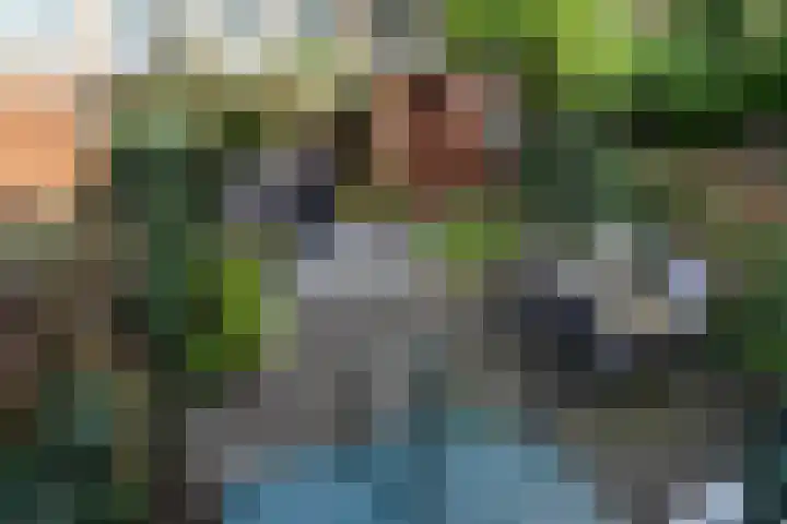 Blommersdijkselaan 13 B Rotterdam thumbnail 13