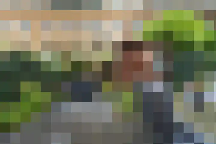 Blommersdijkselaan 13 B Rotterdam thumbnail 14