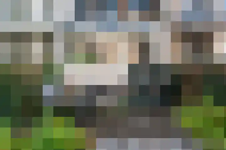 Blommersdijkselaan 13 B Rotterdam thumbnail 15