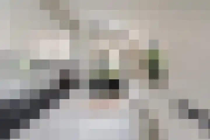 Blommersdijkselaan 13 B Rotterdam thumbnail 19
