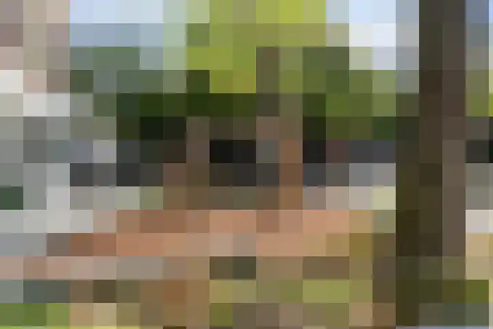Blommersdijkselaan 13 B Rotterdam thumbnail 37