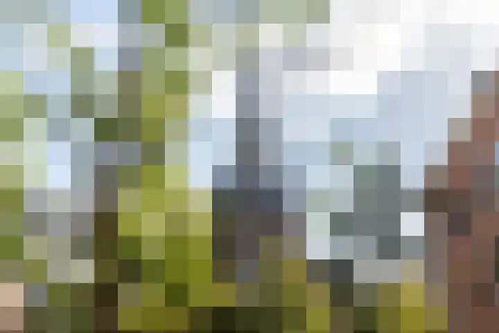 Blommersdijkselaan 13 B Rotterdam thumbnail 38