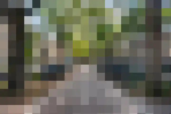 Blommersdijkselaan 13 B Rotterdam thumbnail 5