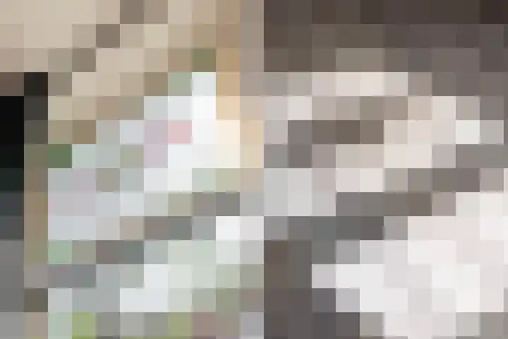 Blommersdijkselaan 13 B Rotterdam thumbnail 8