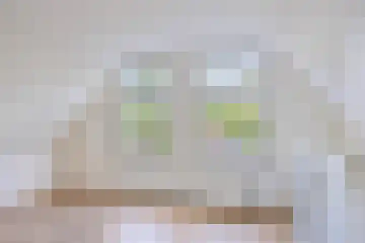 Blommersdijkselaan 30 C Rotterdam thumbnail 13