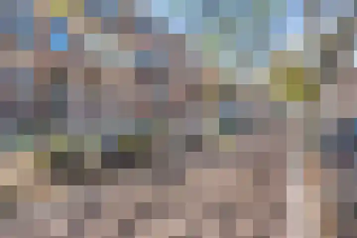 Blommersdijkselaan 30 C Rotterdam thumbnail 15