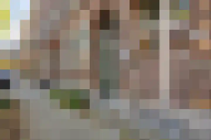 Blommersdijkselaan 30 C Rotterdam thumbnail 17