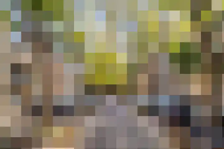 Blommersdijkselaan 30 C Rotterdam thumbnail 18