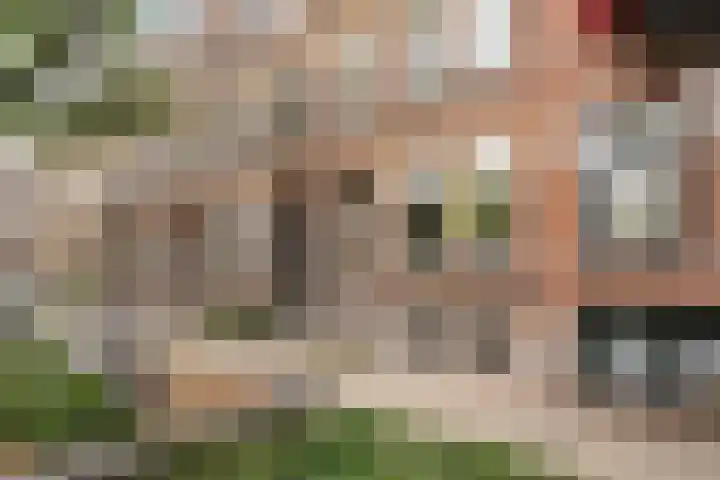 Blommersdijkselaan 30 C Rotterdam thumbnail 26