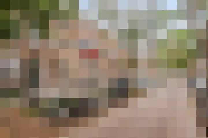 Blommersdijkselaan 30 C Rotterdam thumbnail 27