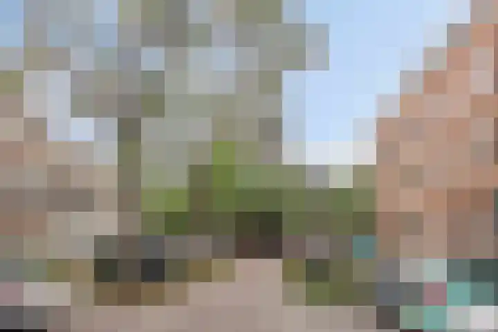 Blommersdijkselaan 30 C Rotterdam thumbnail 28