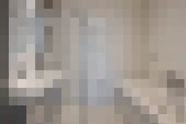 Blommersdijkselaan 30 C Rotterdam thumbnail 4