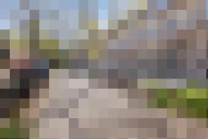 Blommersdijkselaan 30 C Rotterdam thumbnail 5