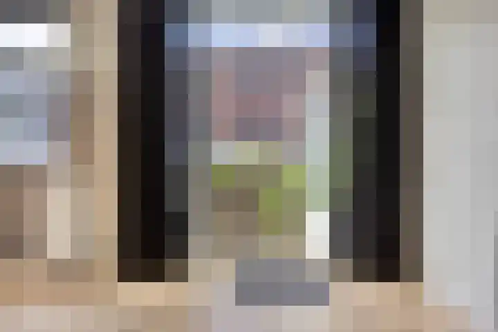 Blommersdijkselaan 30 C Rotterdam thumbnail 6