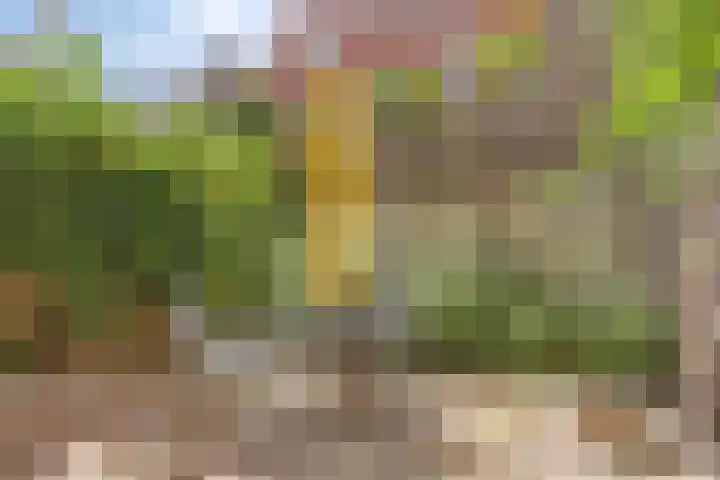Blommersdijkselaan 30 C Rotterdam thumbnail 8