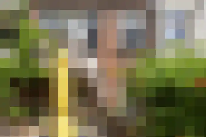 Blommersdijkselaan 30 C Rotterdam thumbnail 9