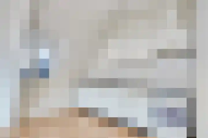 Blommersdijkselaan 30 C Rotterdam thumbnail 9